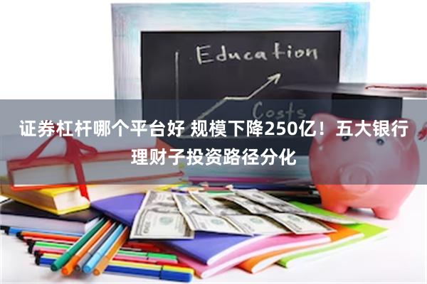 证券杠杆哪个平台好 规模下降250亿！五大银行理财子投资路径分化