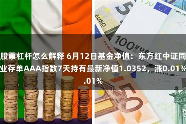 股票杠杆怎么解释 6月12日基金净值：东方红中证同业存单AAA指数7天持有最新净值1.0352，涨0.01%