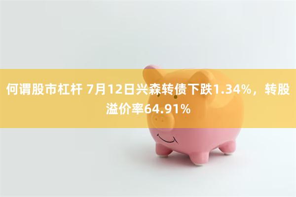 何谓股市杠杆 7月12日兴森转债下跌1.34%，转股溢价率64.91%