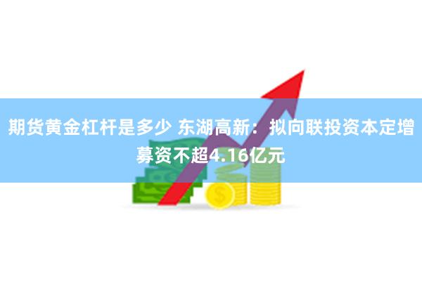 期货黄金杠杆是多少 东湖高新：拟向联投资本定增募资不超4.16亿元