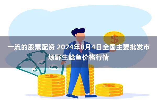 一流的股票配资 2024年8月4日全国主要批发市场野生鲶鱼价格行情