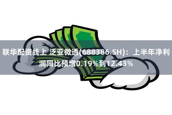 联华配资线上 泛亚微透(688386.SH)：上半年净利润同比预增0.19%到12.43%