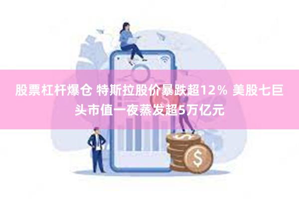 股票杠杆爆仓 特斯拉股价暴跌超12％ 美股七巨头市值一夜蒸发超5万亿元