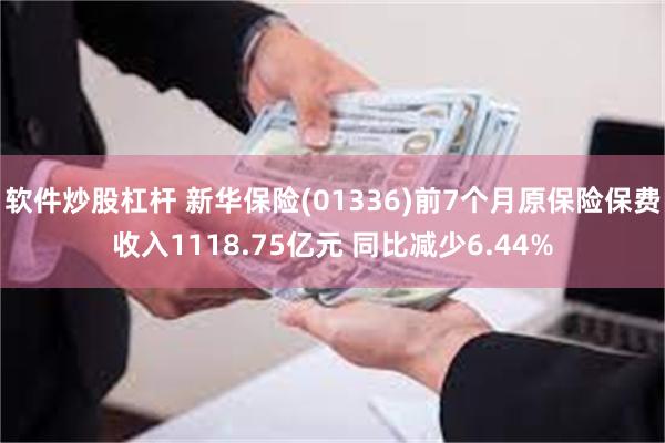 软件炒股杠杆 新华保险(01336)前7个月原保险保费收入1118.75亿元 同比减少6.44%