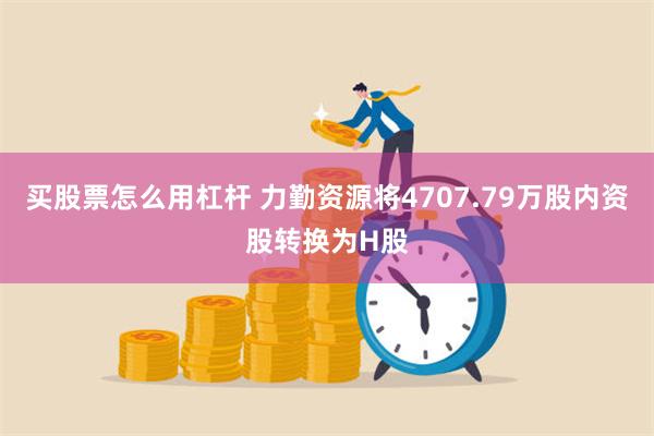 买股票怎么用杠杆 力勤资源将4707.79万股内资股转换为H股