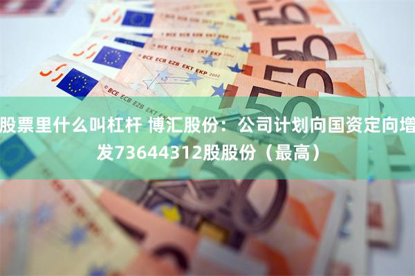 股票里什么叫杠杆 博汇股份:公司计划向国资定向增发73644312股股份(最高)