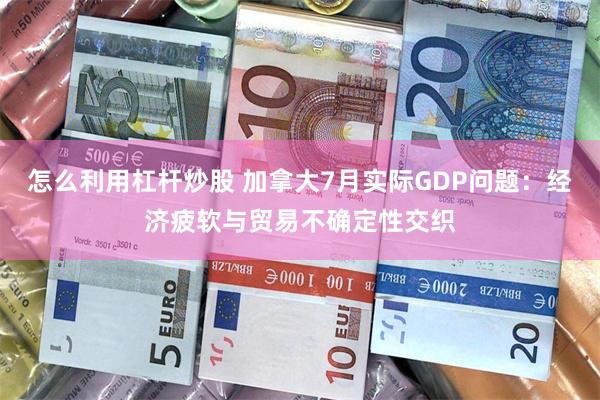 怎么利用杠杆炒股 加拿大7月实际GDP问题:经济疲软与贸易不确定性交织