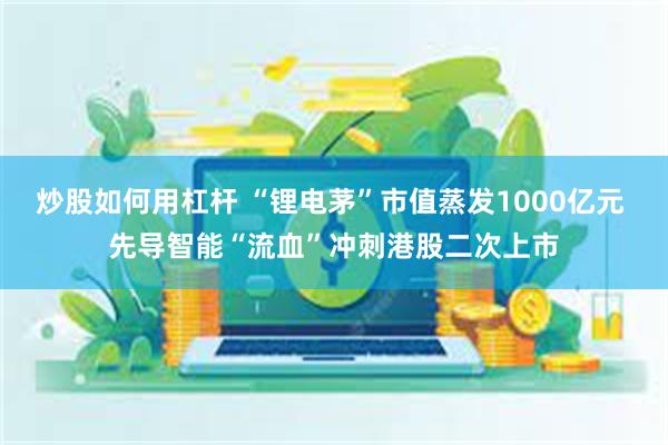 炒股如何用杠杆 “锂电茅”市值蒸发1000亿元 先导智能“流血”冲刺港股二次上市